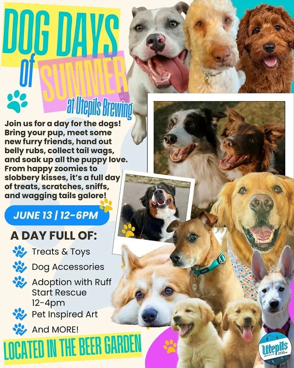 Ruff Start Rescue at Dog Days of Summer at Utepils Brewing