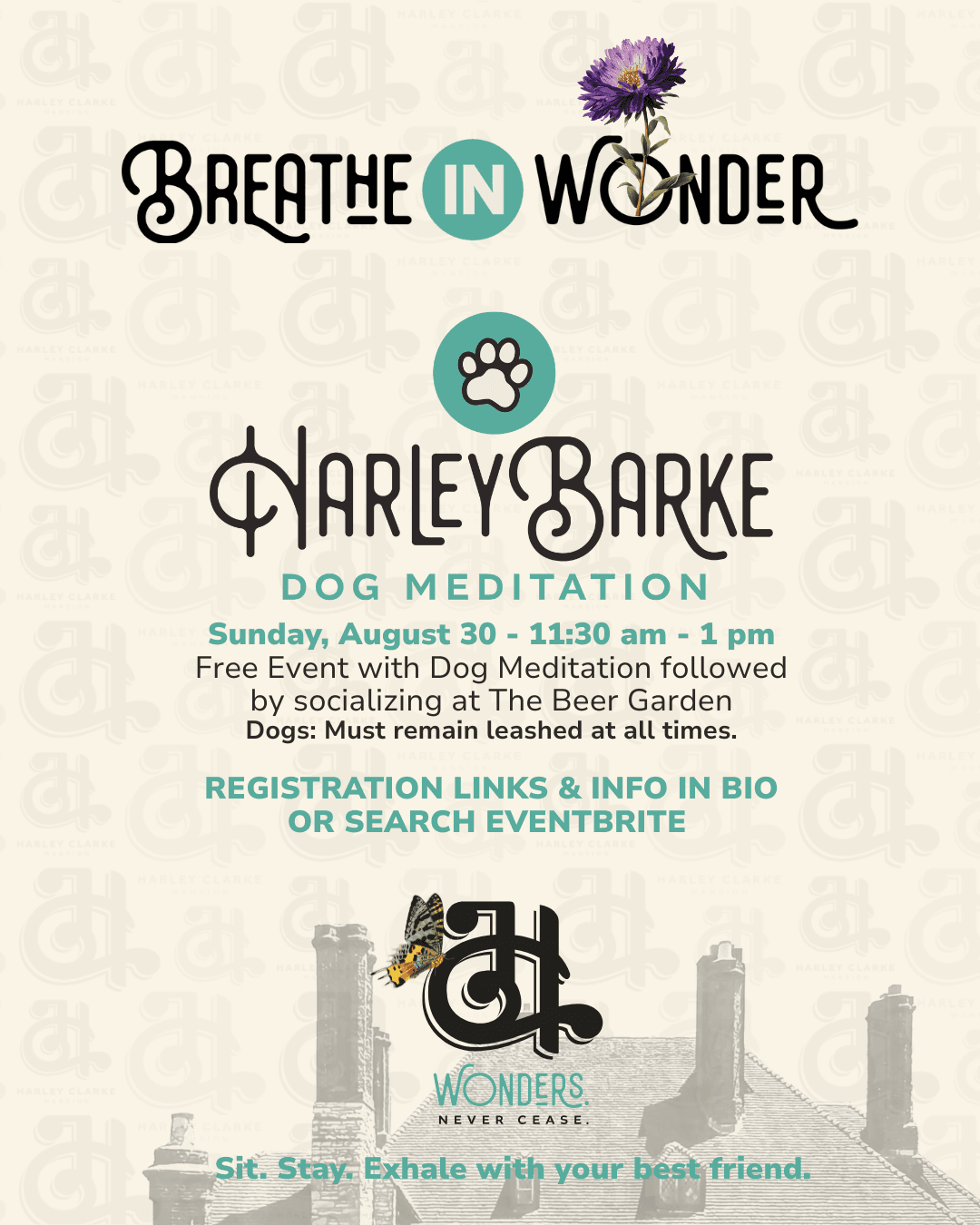 Free Harley Barke Dog Meditation and Social on the Lakefront