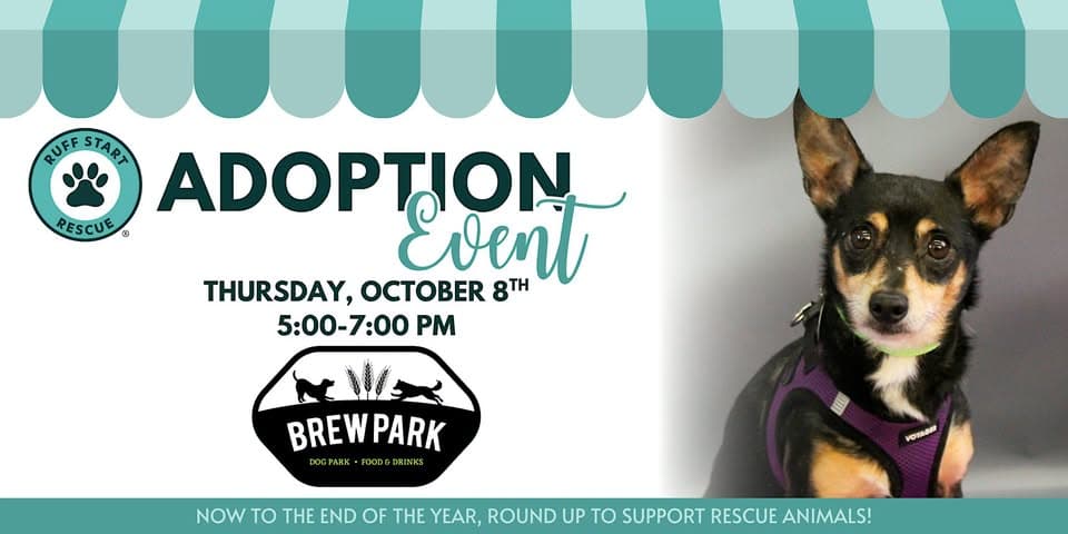 Ruff Start Rescue Adoption Event at Brew Park