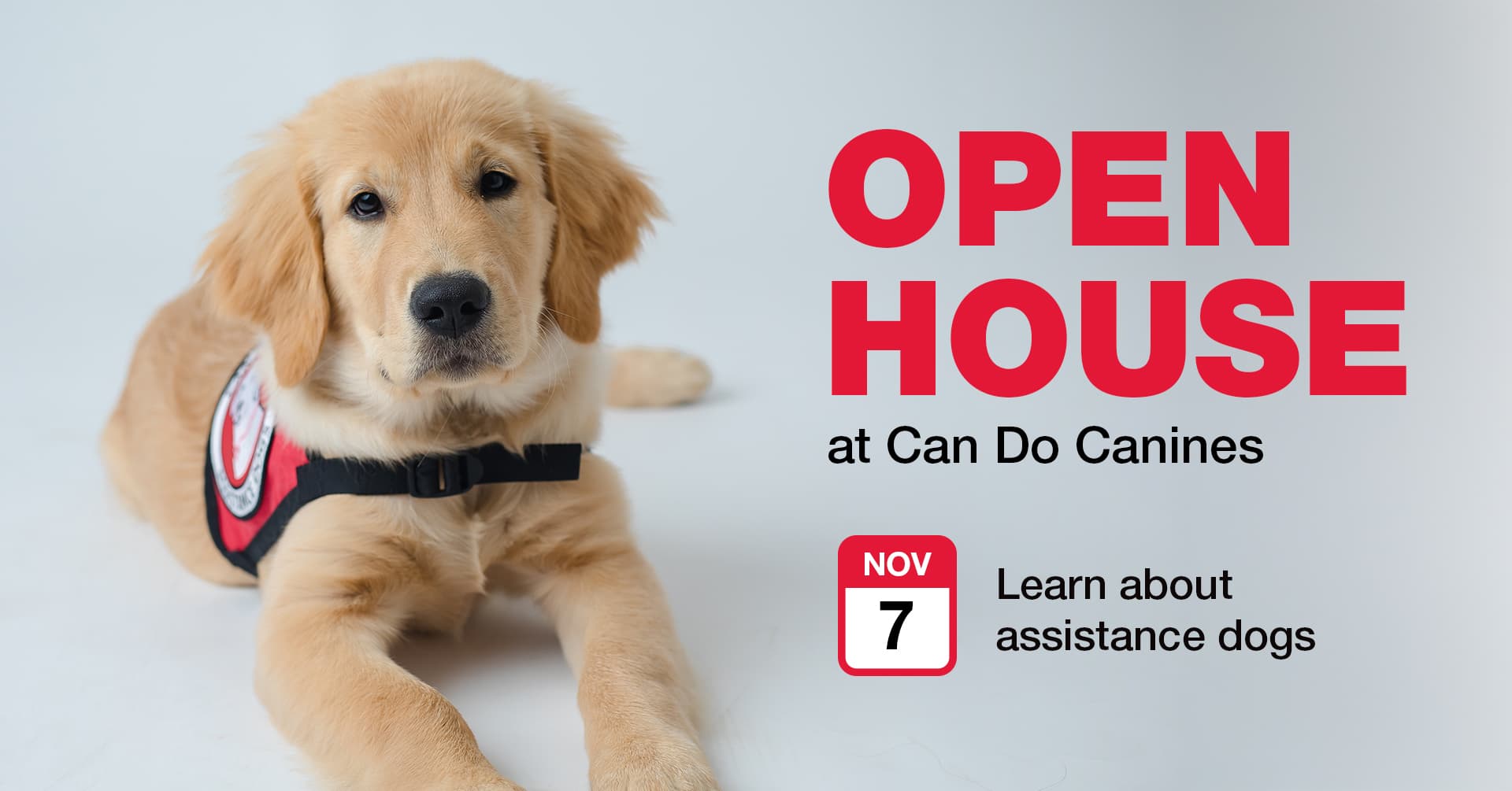 Can Do Canines Open House