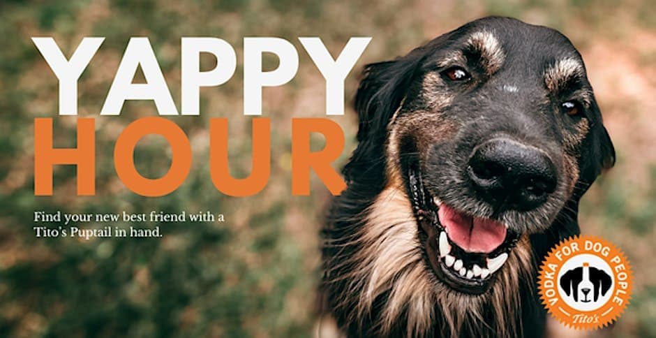 Yappy Hour Pop-Up