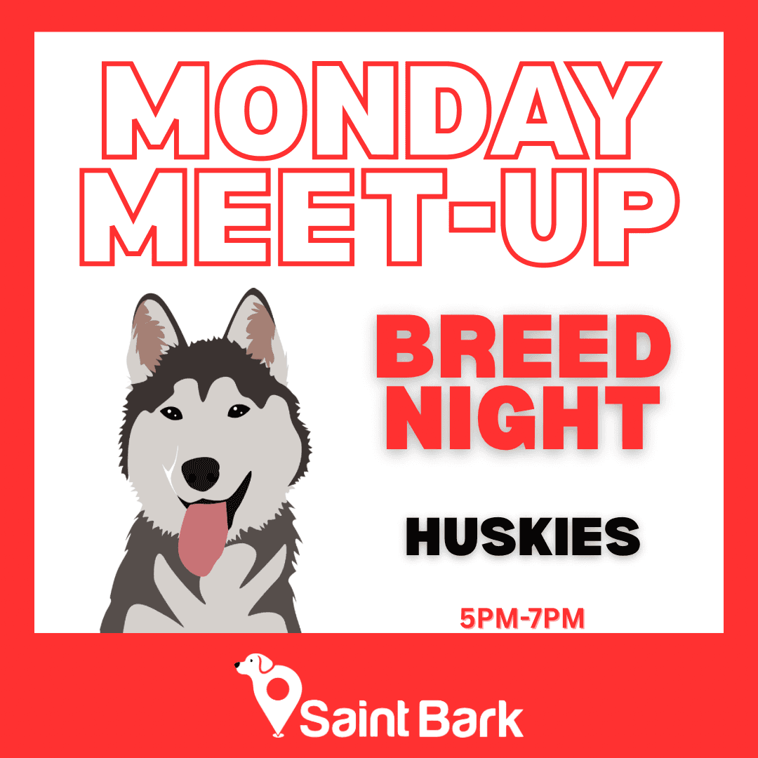 Husky Night at Saint Bark