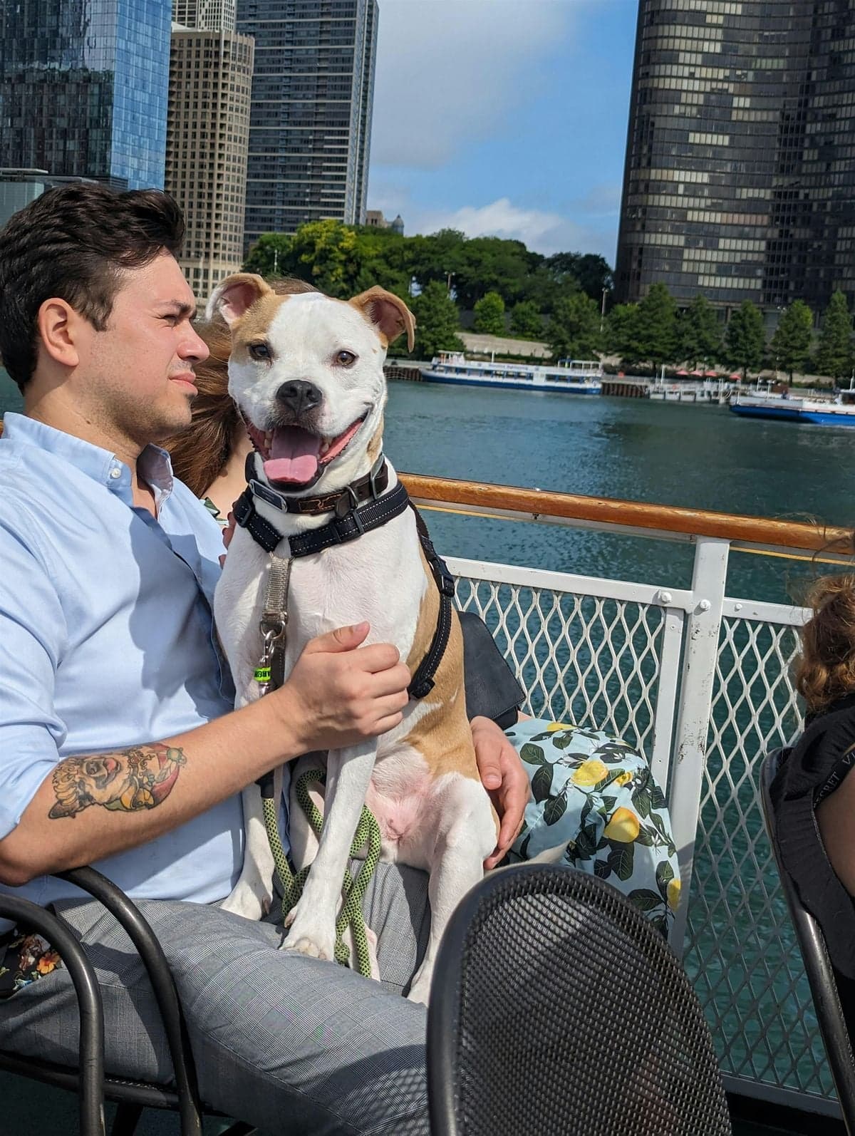 Cruising for Canines: 11th Annual Canine Cruise