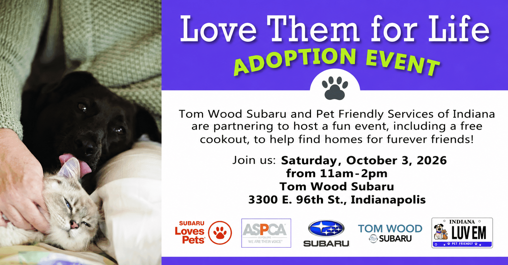 Love Them for Life Adoption Event at Tom Wood Subaru