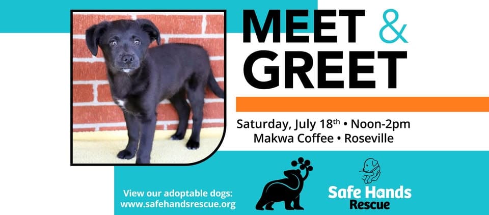 Safe Hands Rescue Meet & Greet at Makwa Coffee
