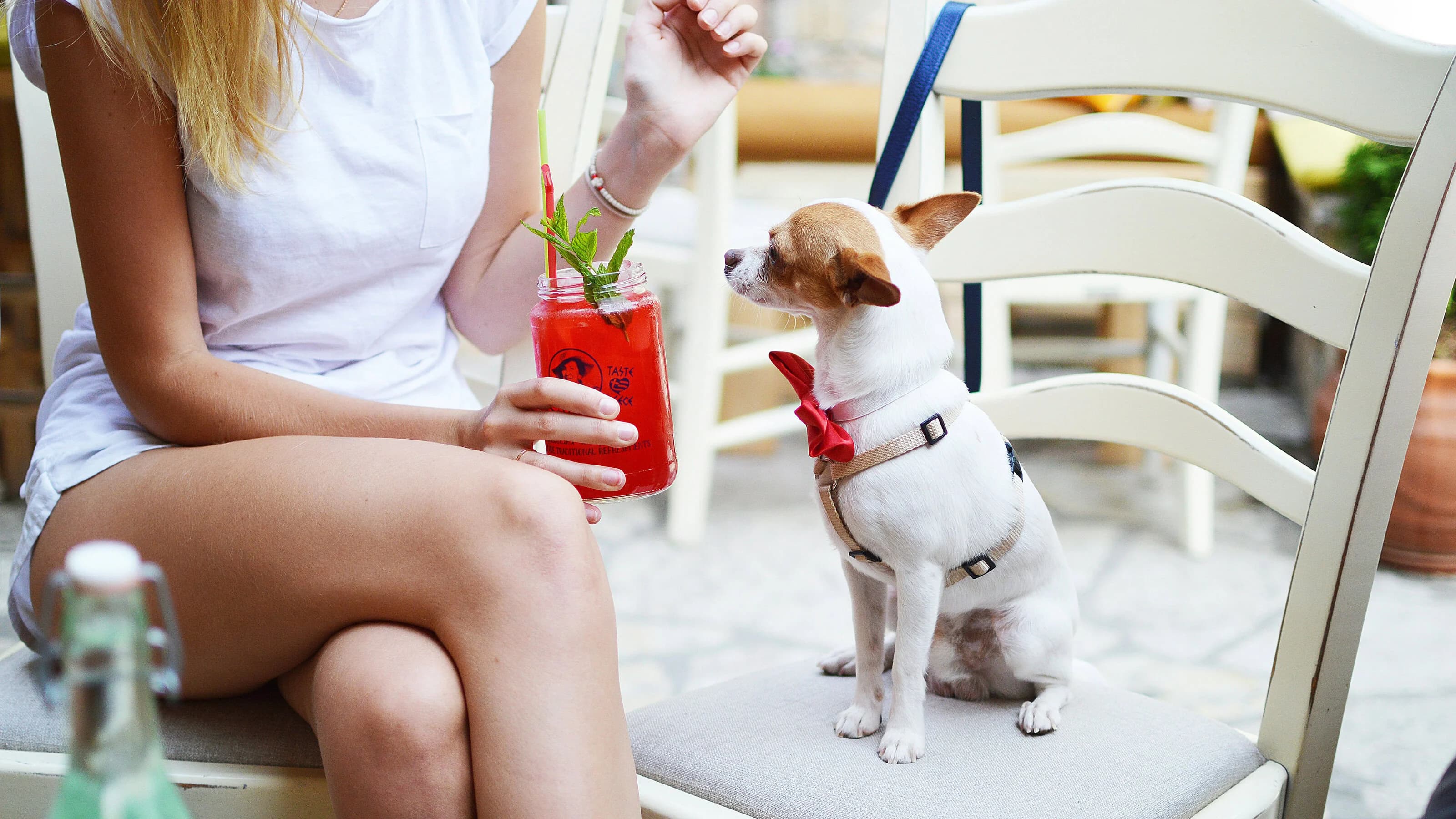 Furry Fridays Yappy Hour at 7 Mile House