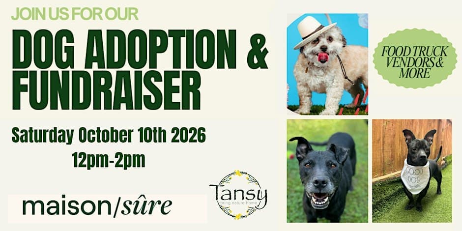 Dog Adoption & Fundraiser with Maison Sure Foundation