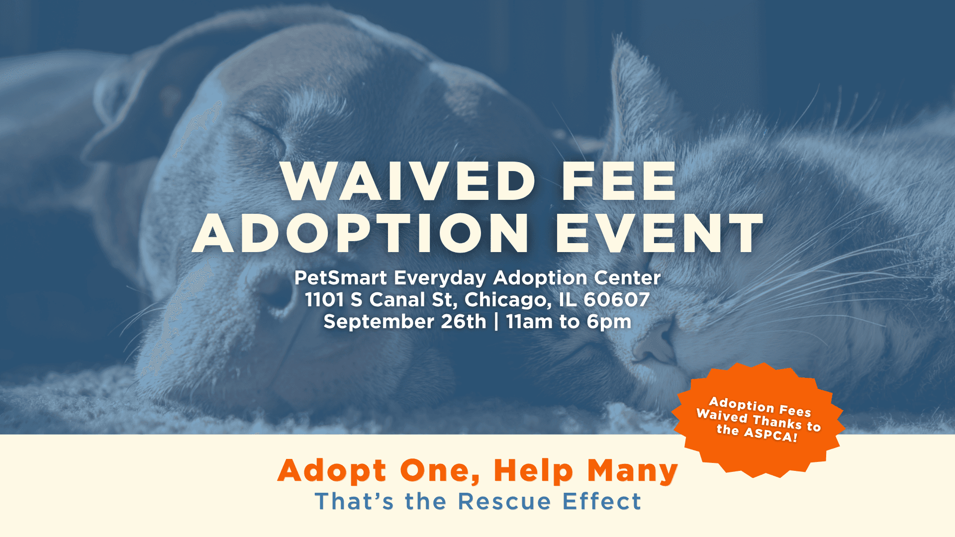 One Tail at a Time Waived Fee Adoption Event