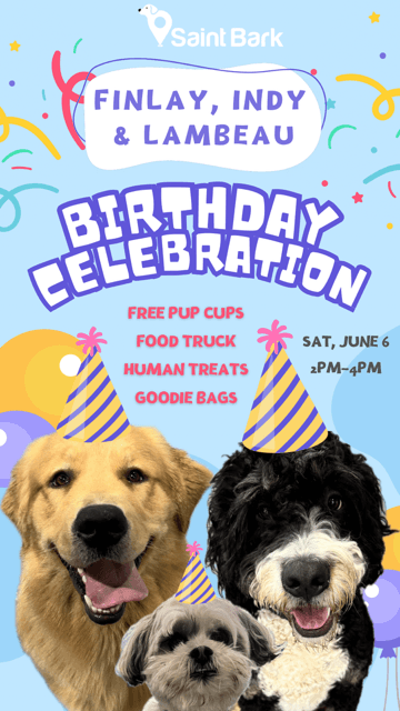 Finlay, Indiana & Lambeau's Birthday at Saint Bark