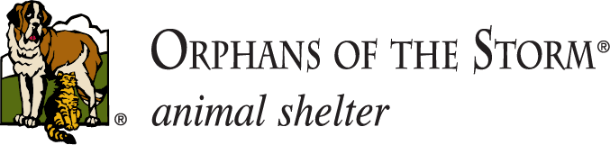 Orphans of the Storm Adoption & Donation Event – Highland Park