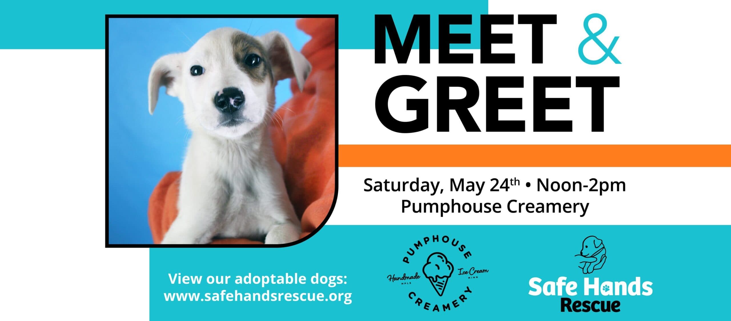 Safe Hands Rescue Meet & Greet at Pumphouse Creamery