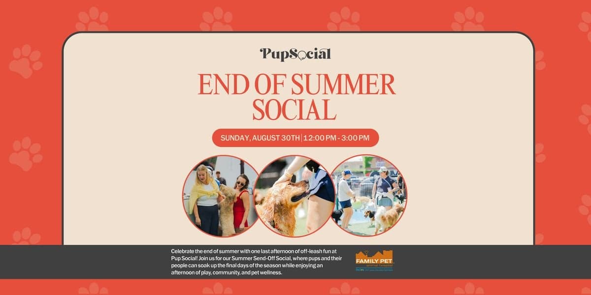 End of Summer Social at Pup Social