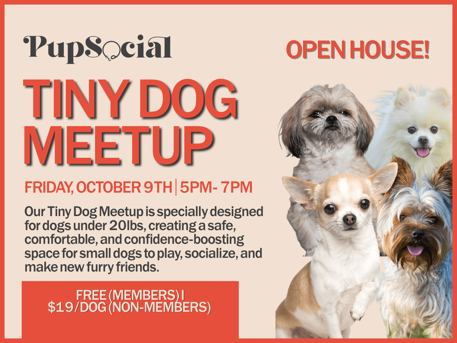 Tiny Dog Meetup