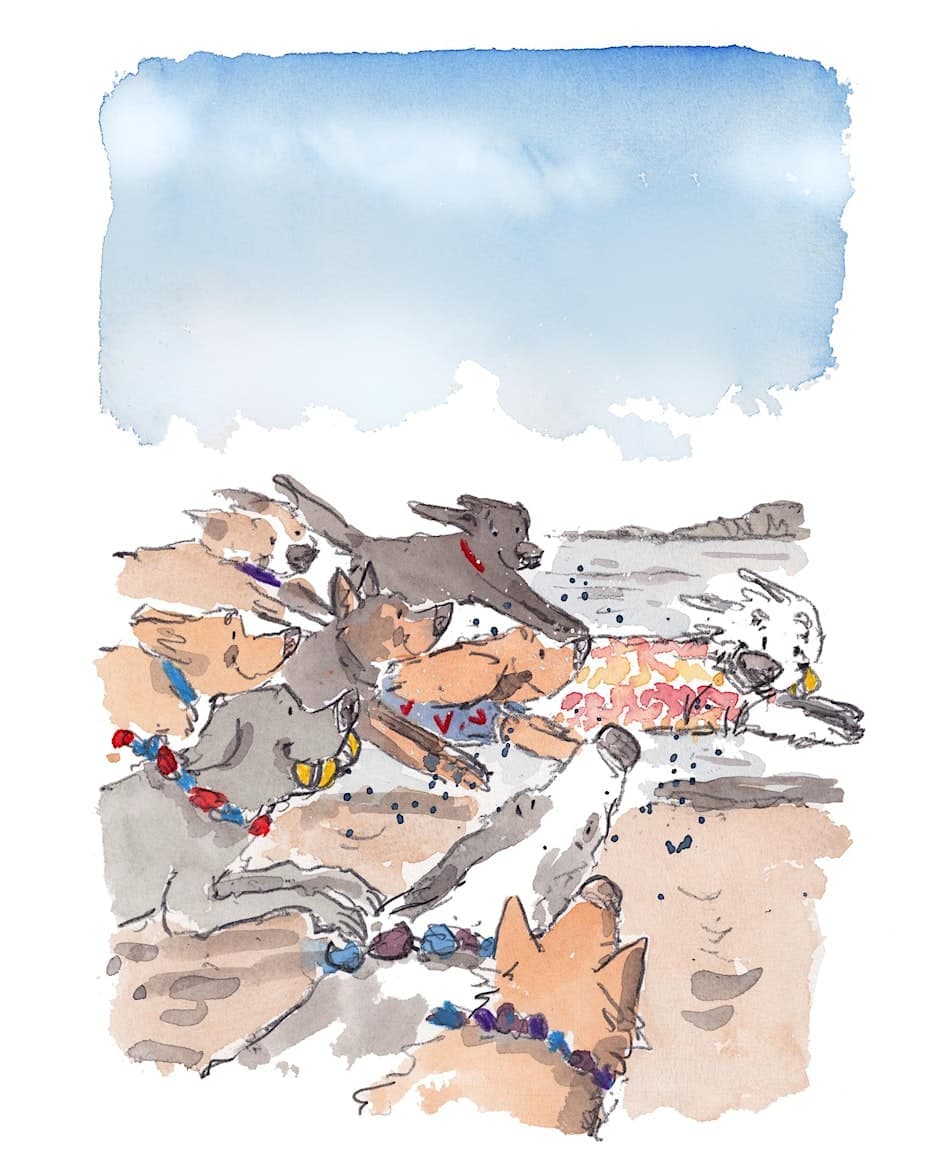 Home for Life's Beach Party