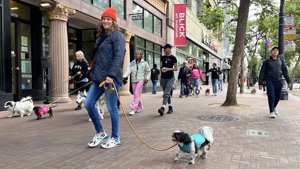 Market Street Pack Walk