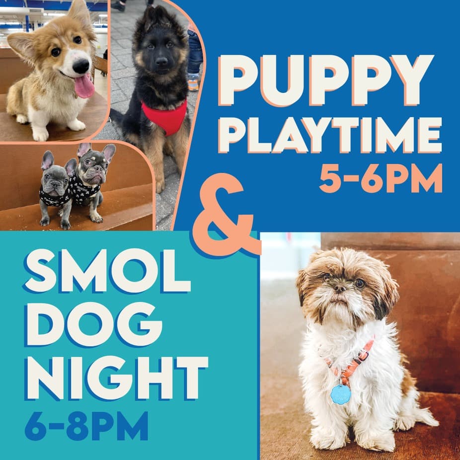 Puppy Playtime & Smol Dog Night at Unleashed Hounds and Hops