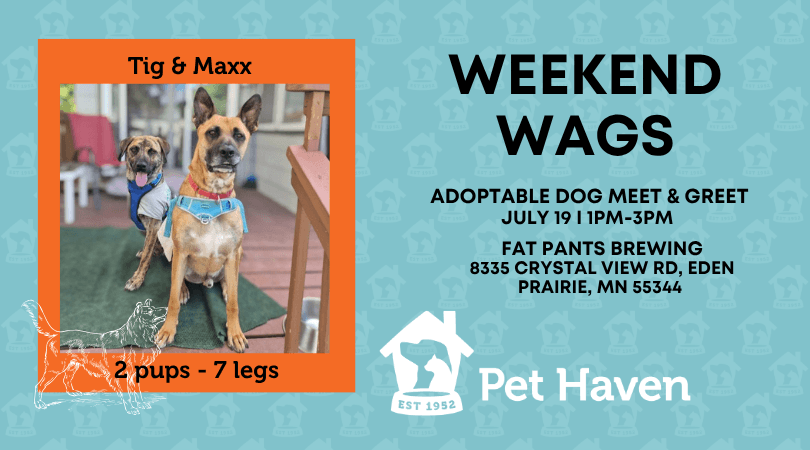 Weekend Wags – Adoptable Dog Meet & Greet at Fat Pants Brewing