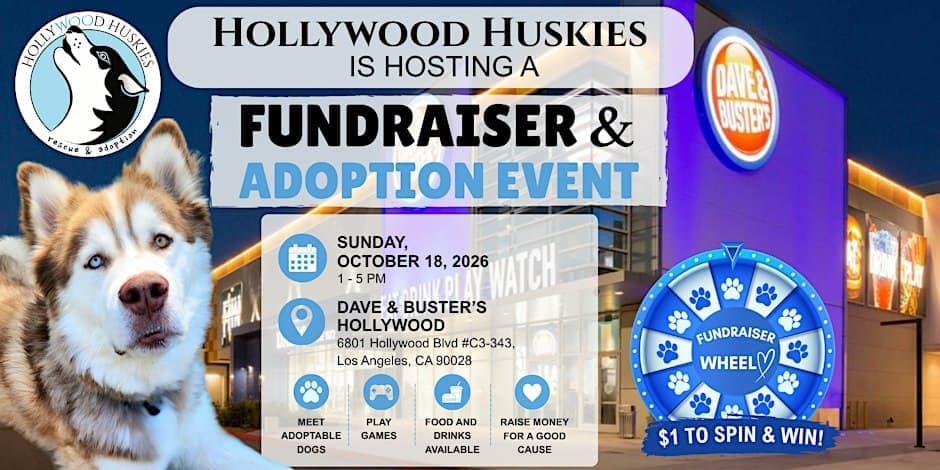 Hollywood Huskies & Dave & Buster's Fundraiser & Adoptions