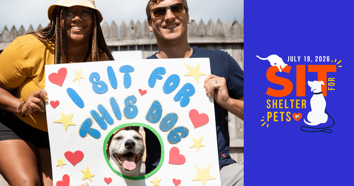 Sit for Shelter Pets 2026