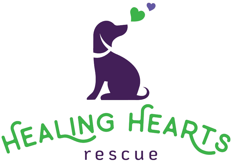Healing Hearts Adoption Event at Forgotten Star Brewing