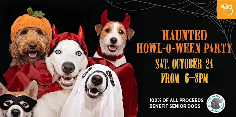 Haunted Howl-O-Ween Party for Dogs at Wag Hotels
