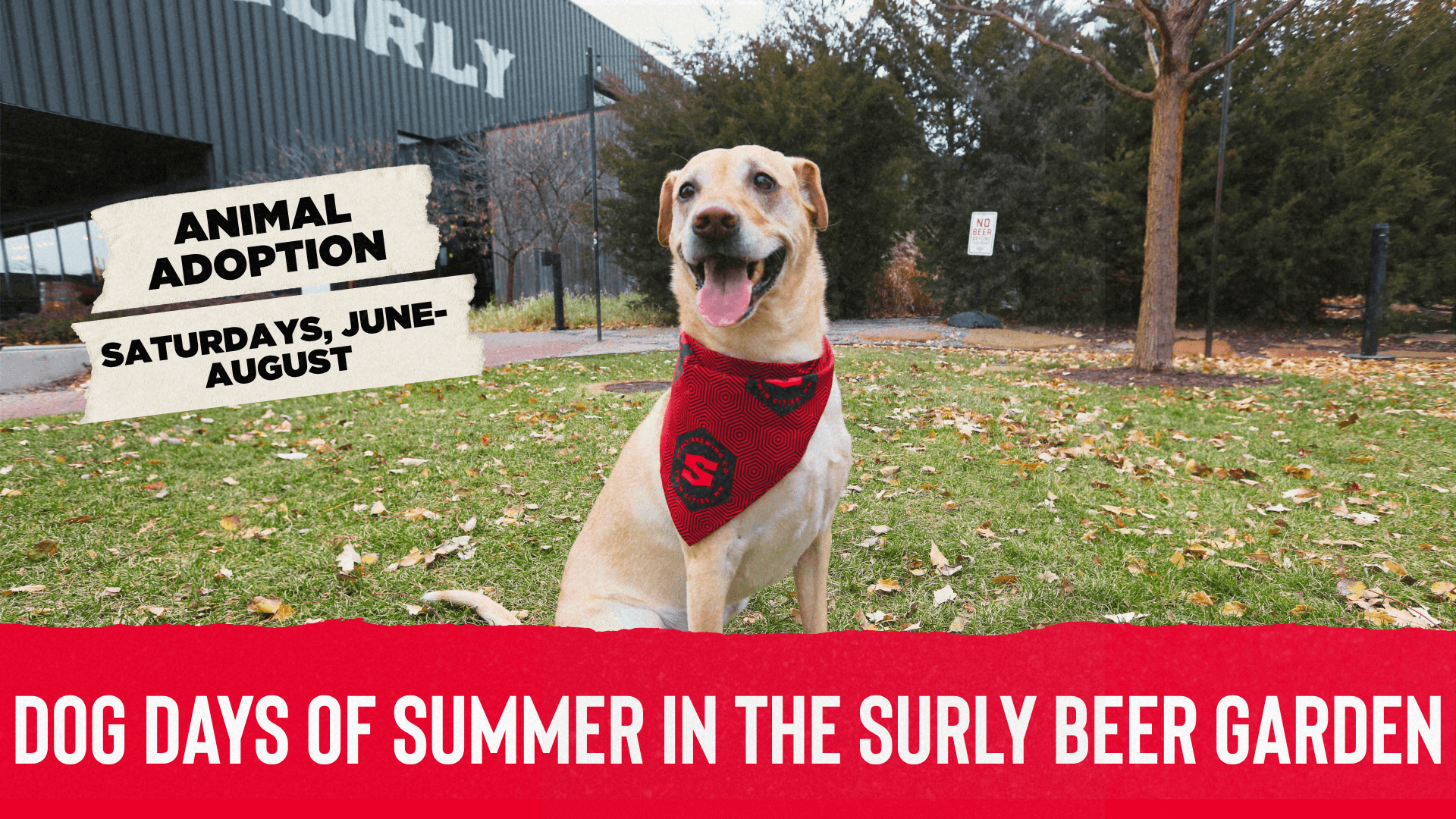 Dog Days of Summer at Surly Brewing – Aug 8