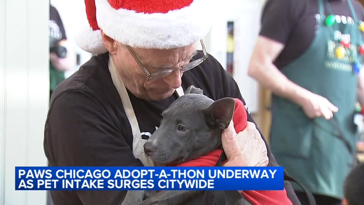 PAWS Chicago Foster Open House