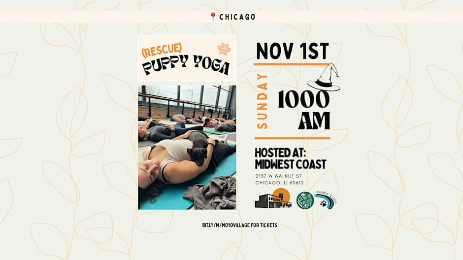 Barks & Brews Halloween: Rescue Puppy Yoga at Midwest Coast Brewing
