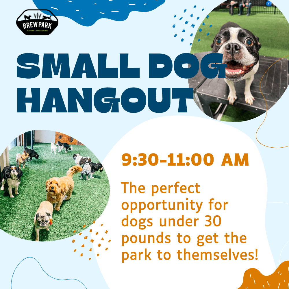 Small Dog Hangout at Brew Park Plymouth