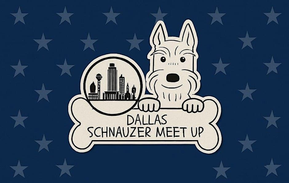 Schnauzer Halloween Costume Party | Dallas Schnauzer Meet Up