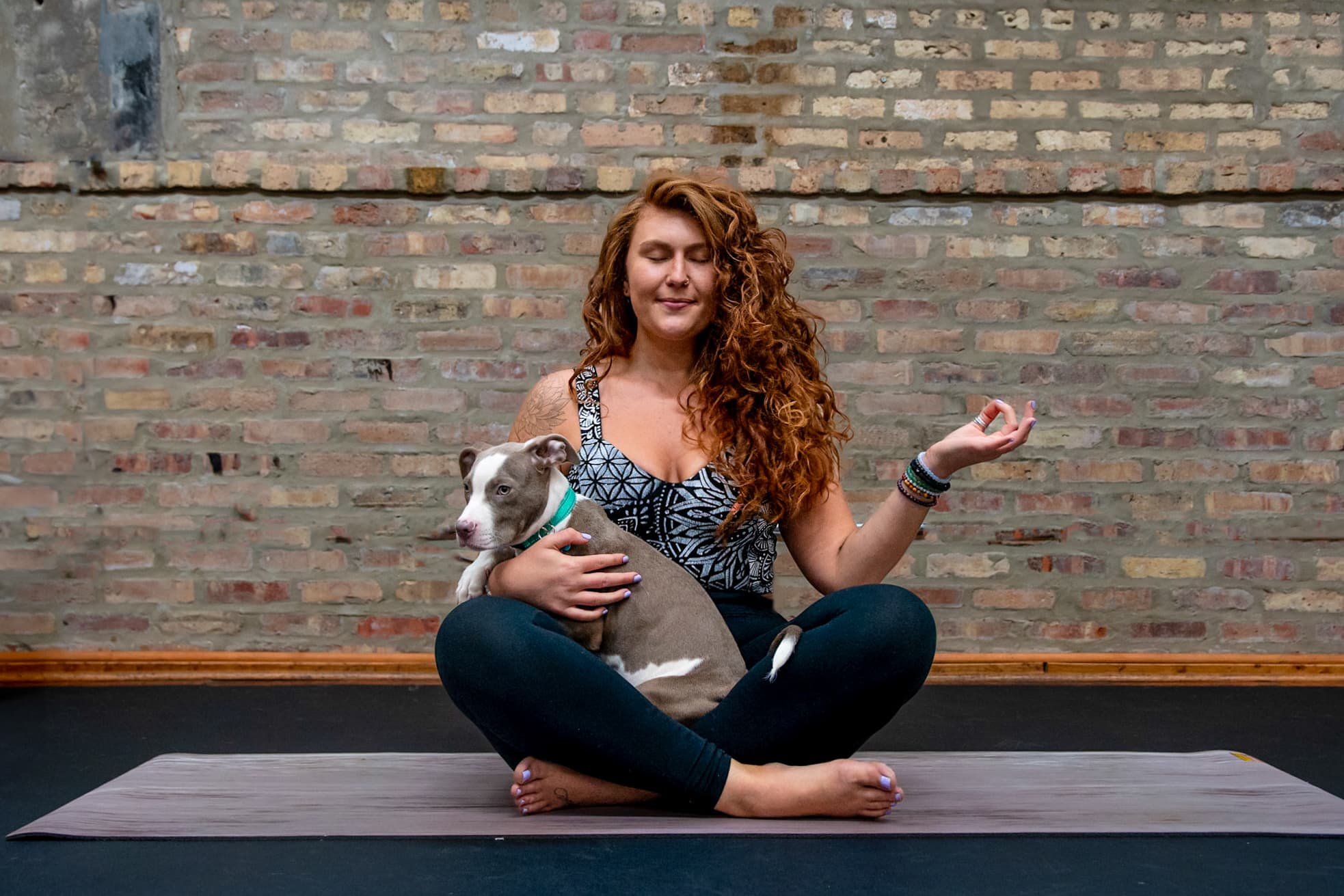 Puppy Yoga at Bosly's Backyard (Benefiting One Tail at a Time)