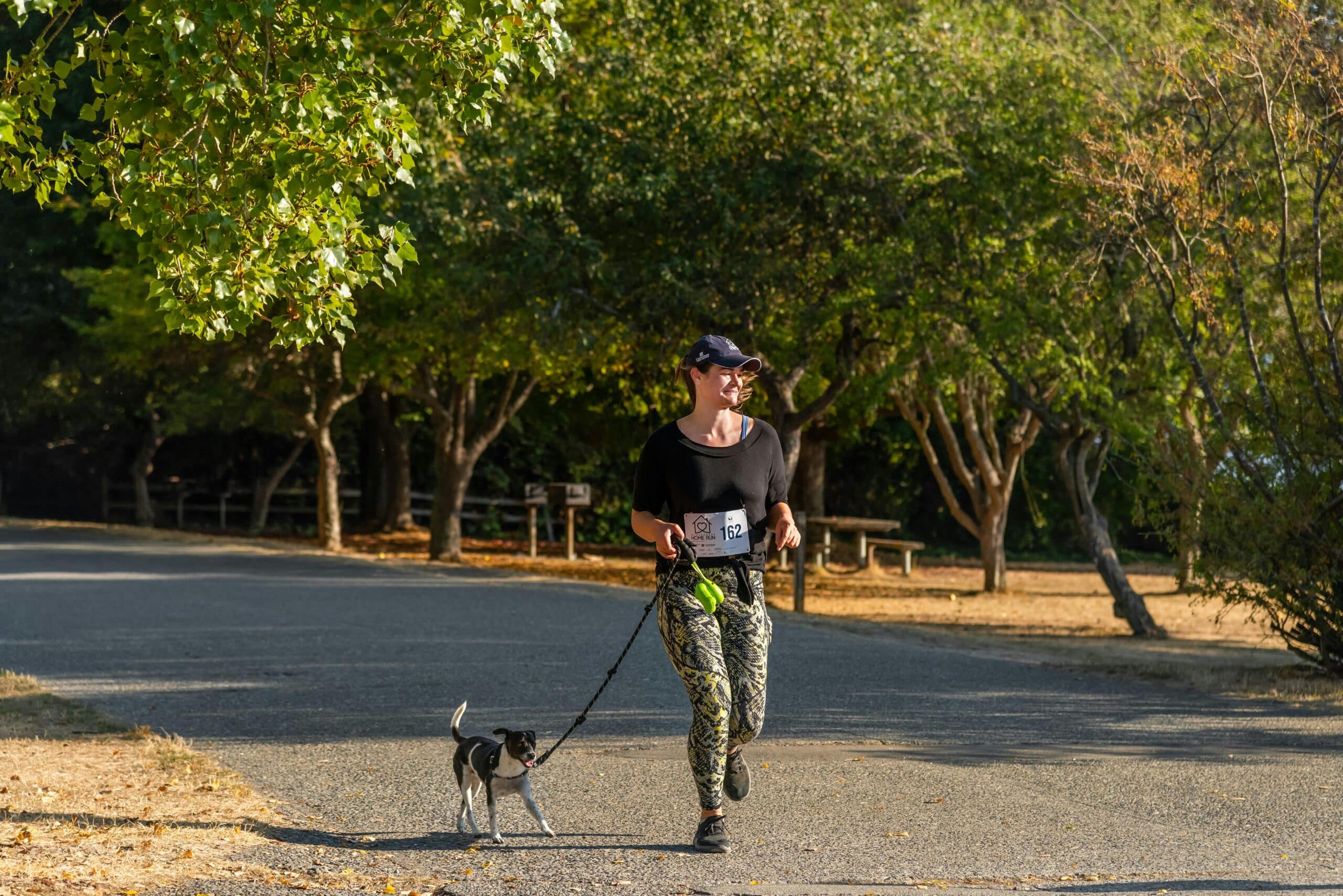Guide to Running with Your Dog