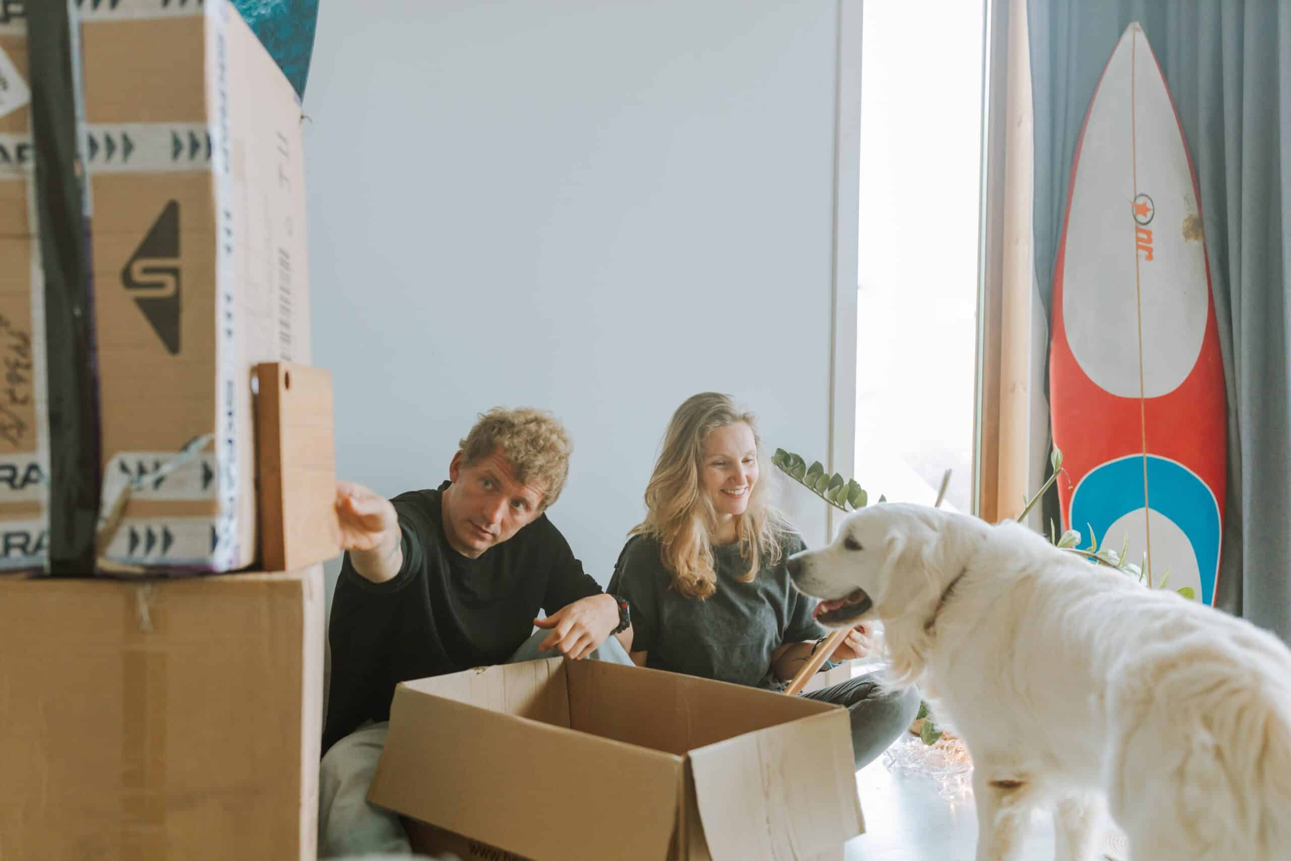 Moving with a Dog? Here’s How to Ease Their Stress