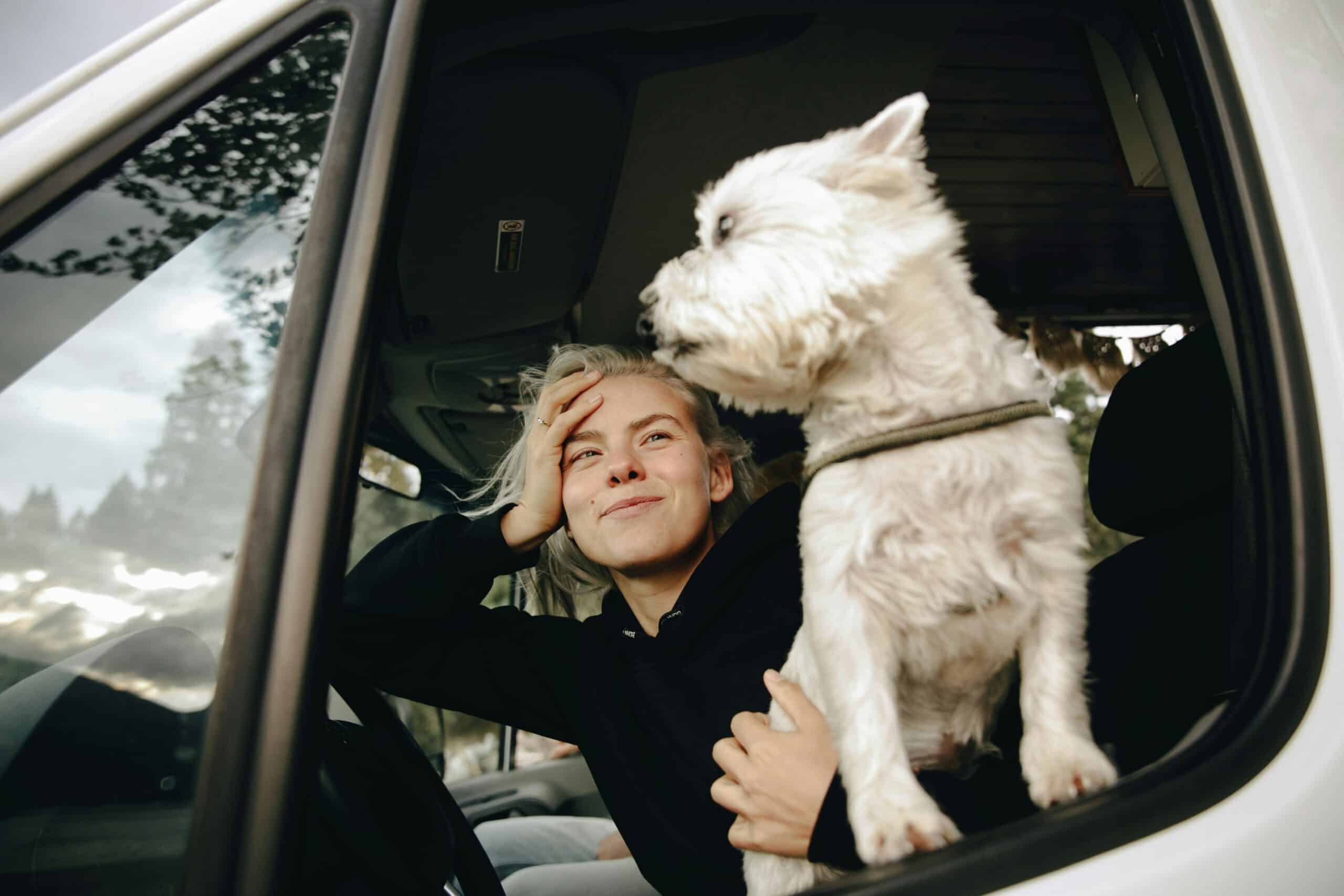 Dog Road Trip Tips for a Successful Journey