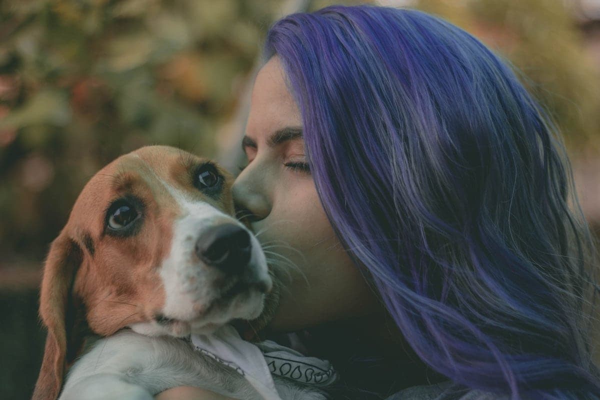 Creature Comfort: How to Make Your Dog a Therapy Dog