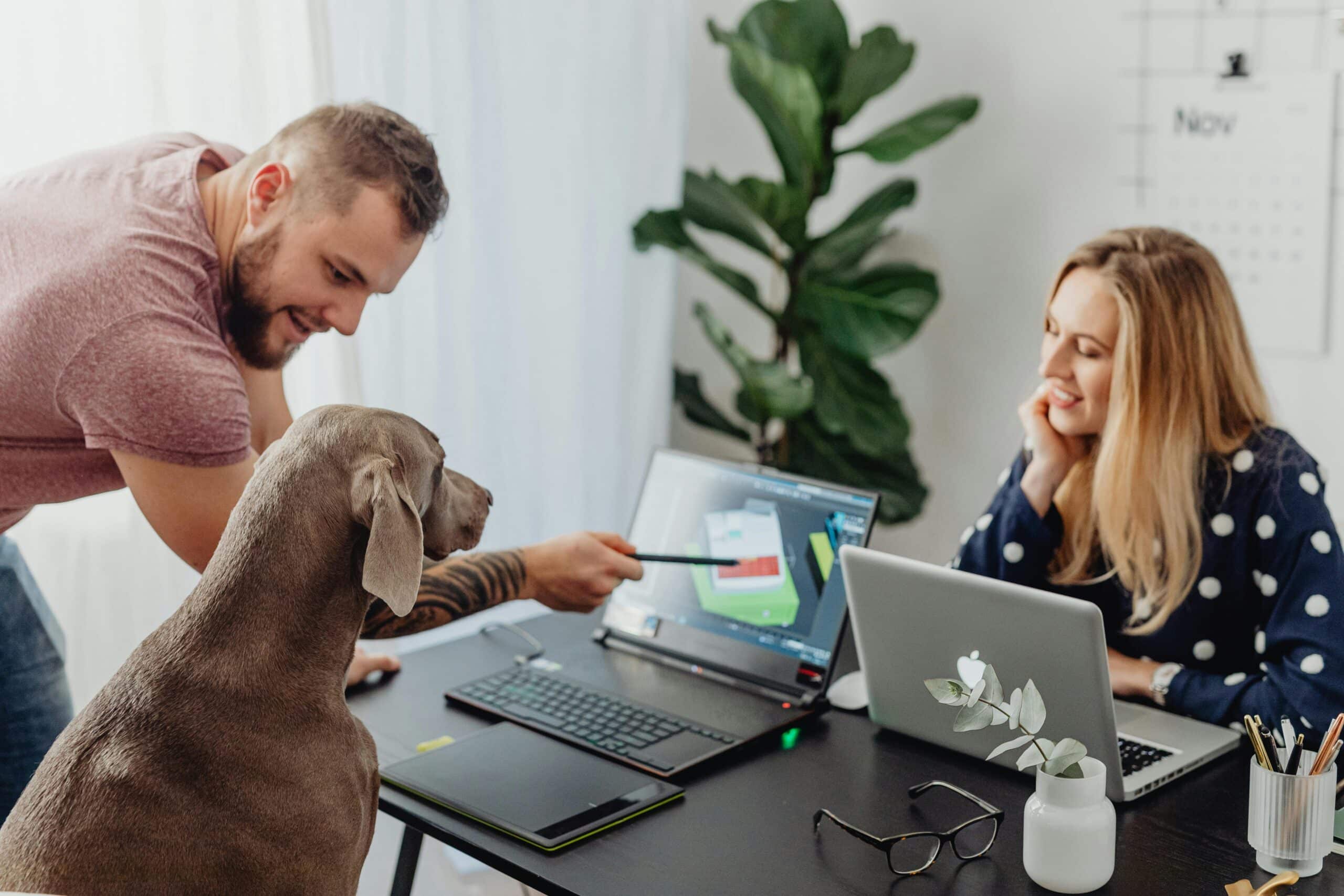 Top Tips for Making Dog-Friendly Offices