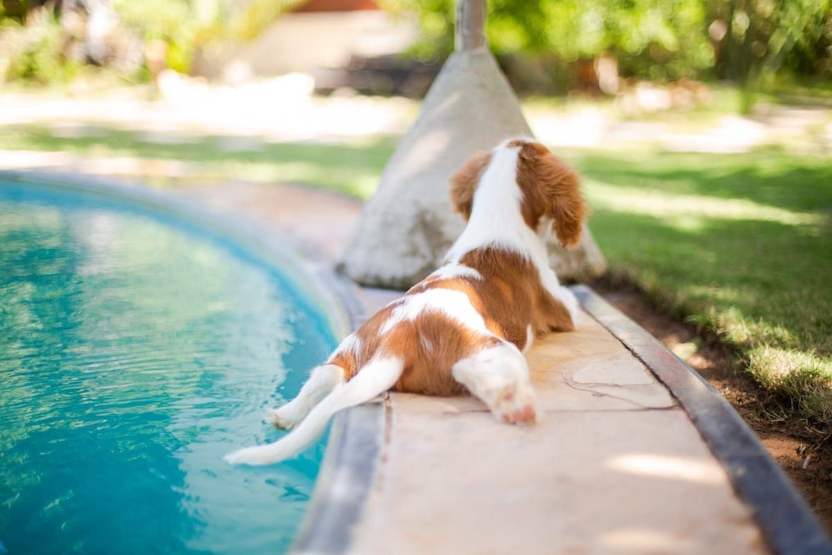 Sipping, Swimming, and Sun: Your Denver Weekend