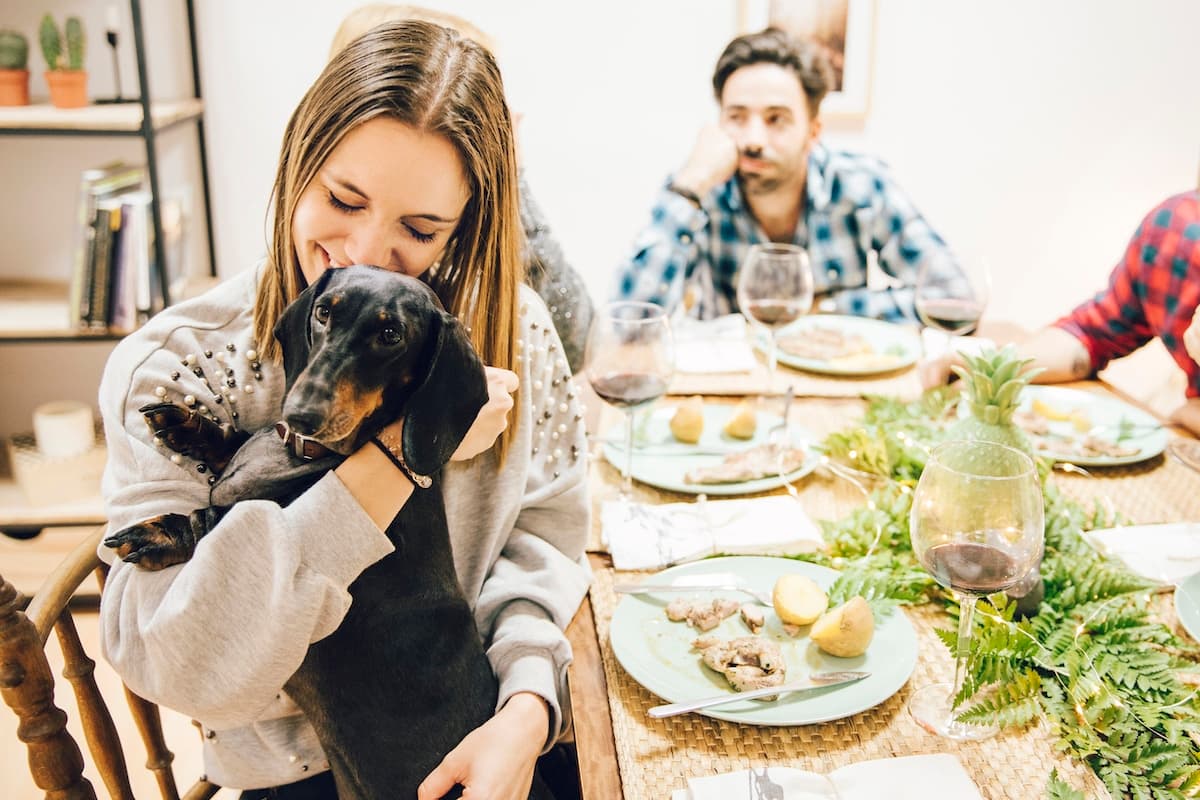How to Make a Thanksgiving Meal for Dogs