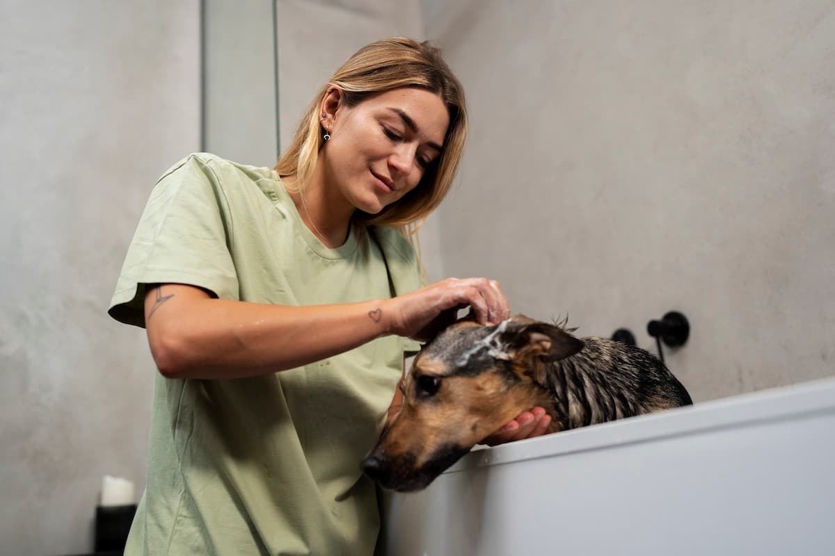 Now Open: Squeaky Bea’s Pet Boutique and Treat-o Shack