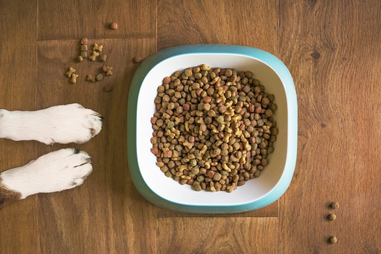 10 Dog Foods Recommended for Large Breed Puppies