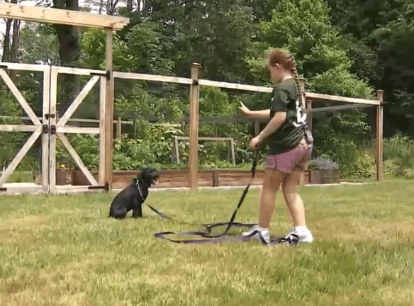 9-Year-Old Girl Trains Puppy to Become Seeing Eye Dog