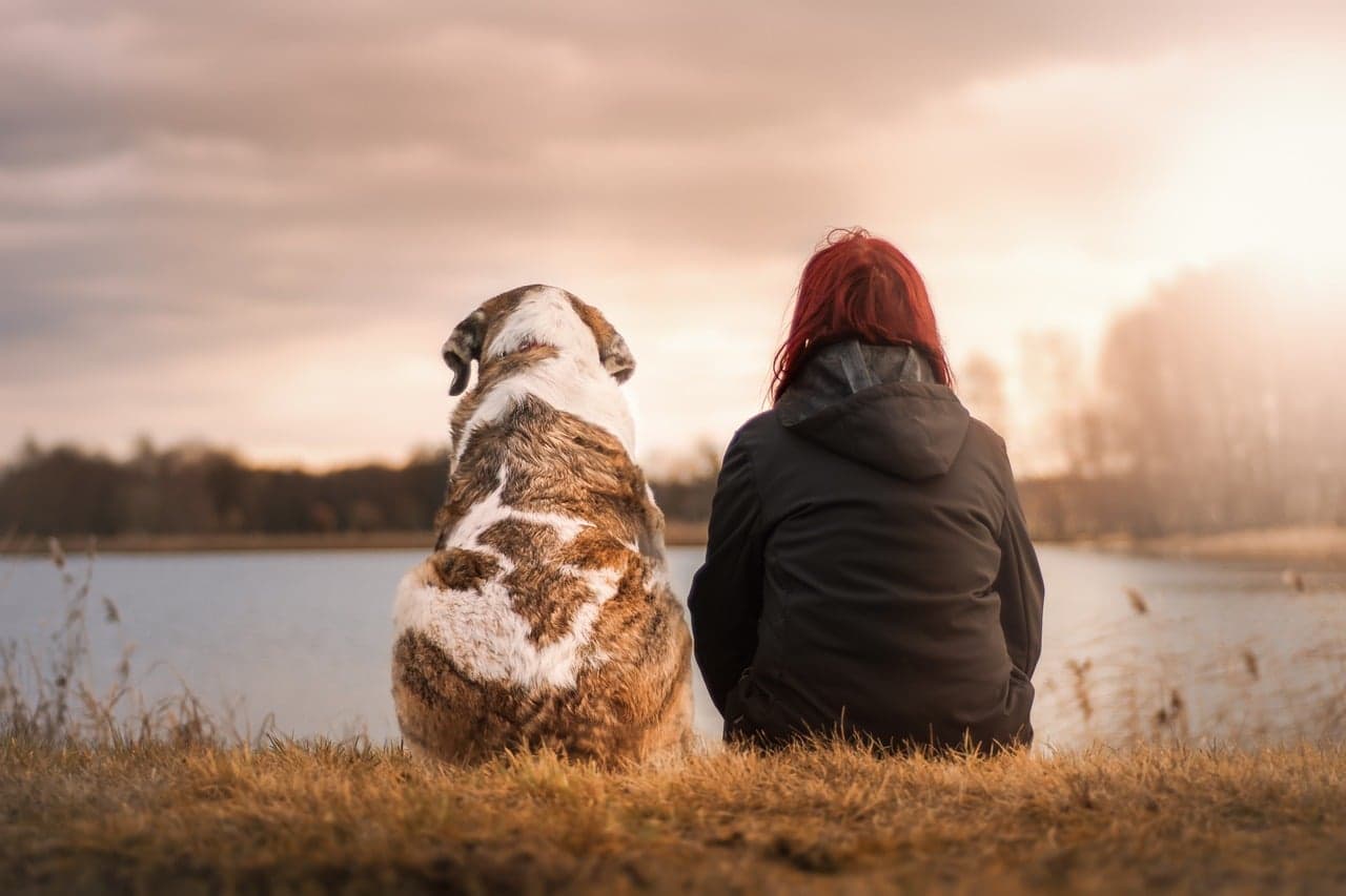 Unique and Long Living Dog Breeds