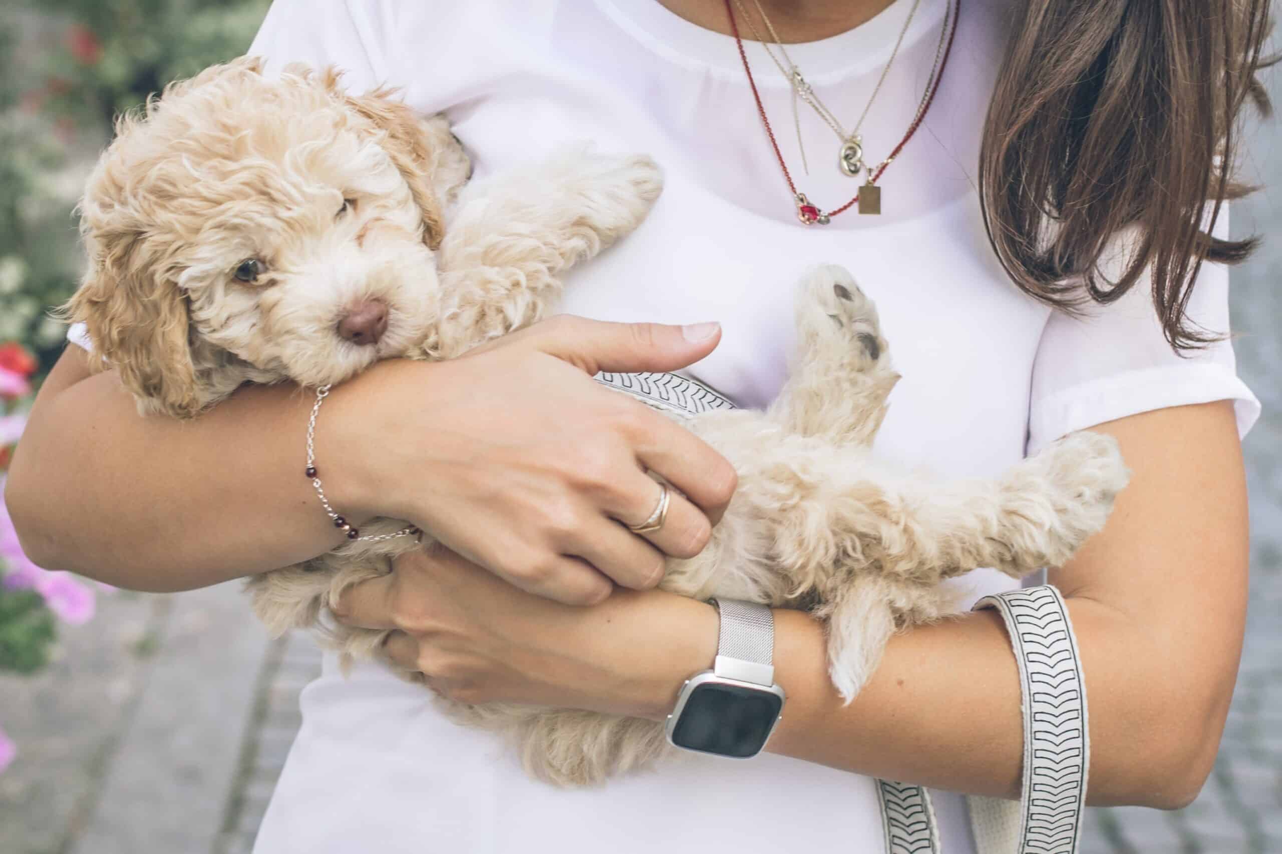 Choosing the Perfect Name for Your Dog