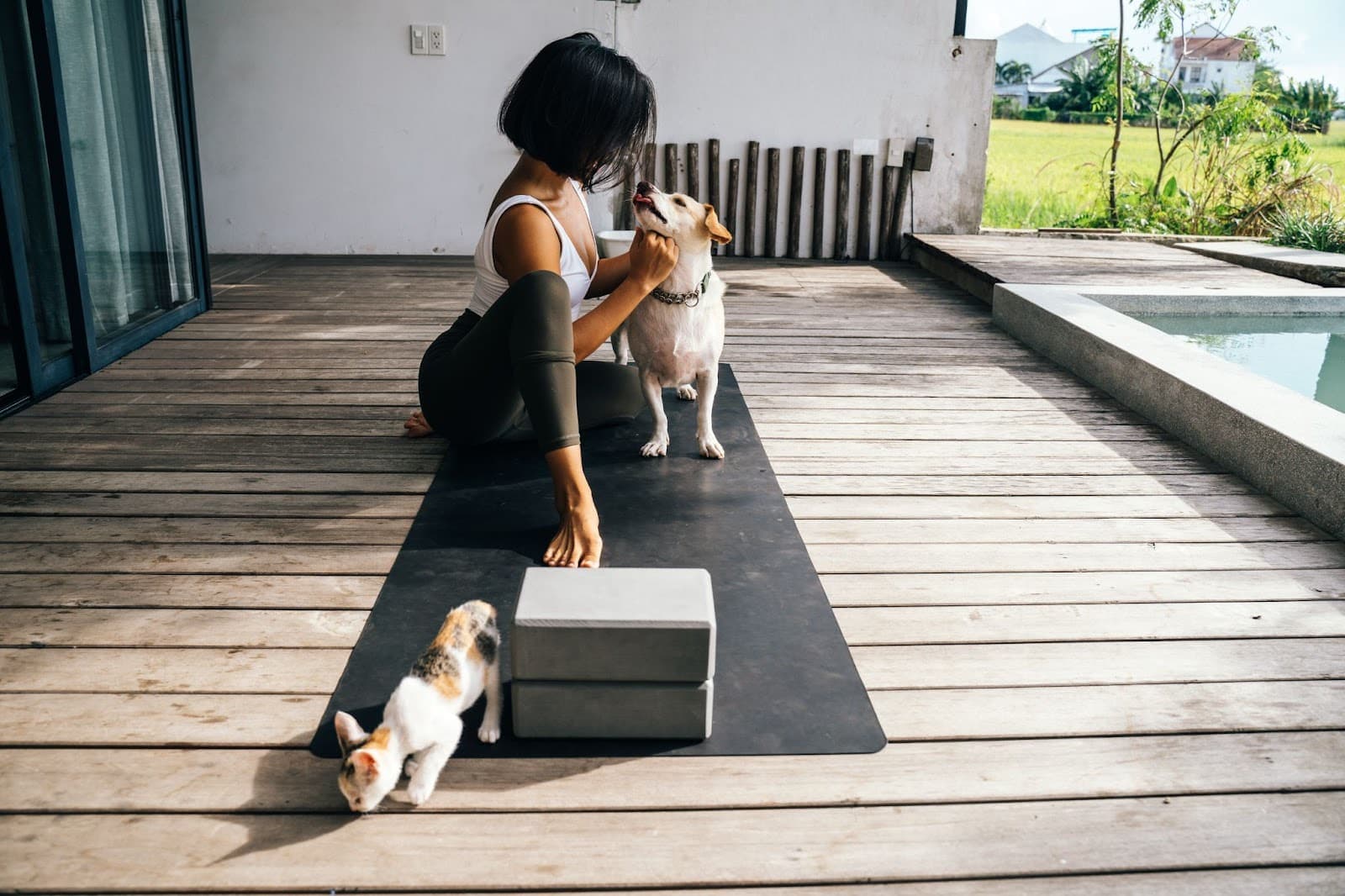 Doga = Yoga With Your Dog. It’s a Thing, And You Should Try It!