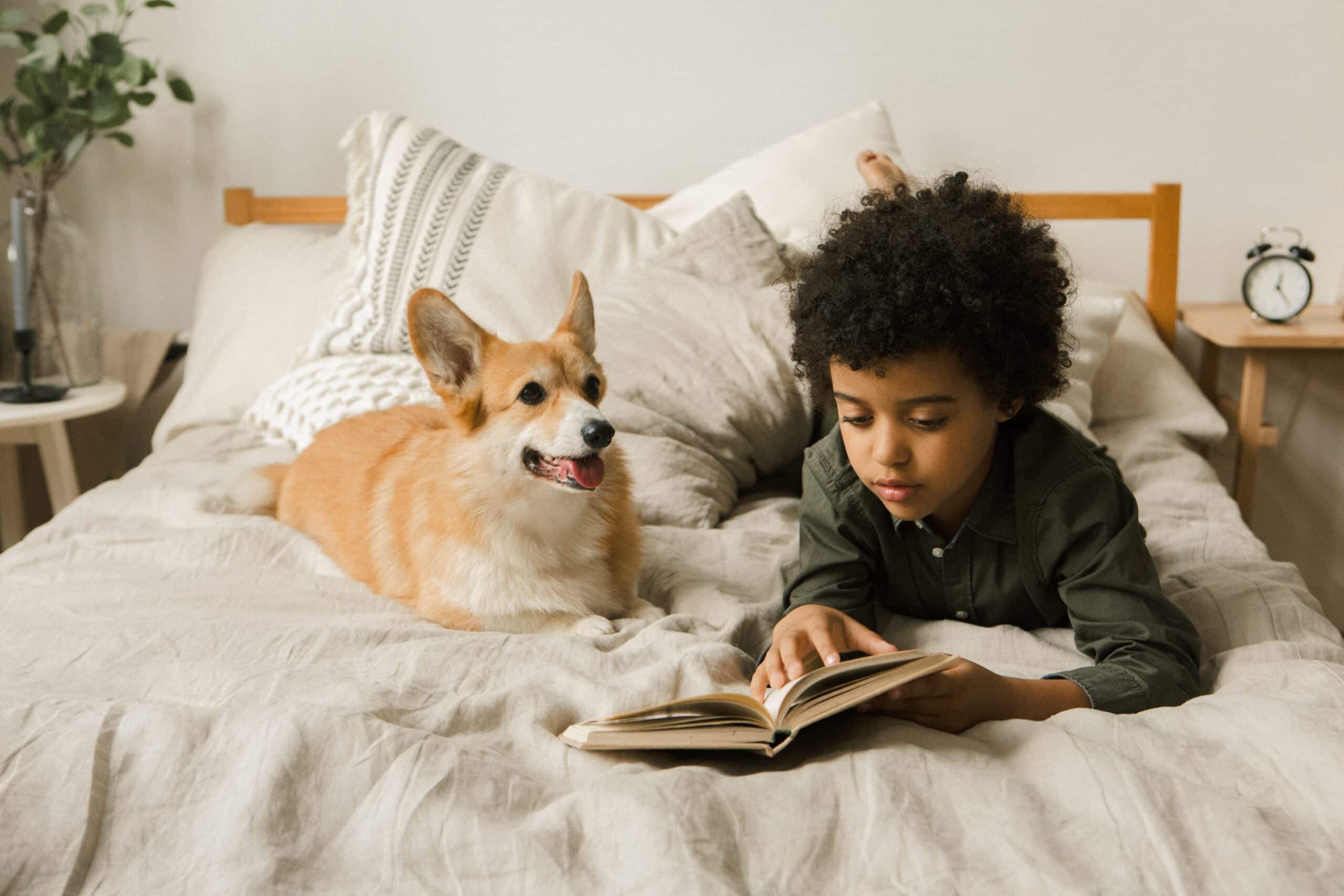 Back-to-School Tips for Dog Owners