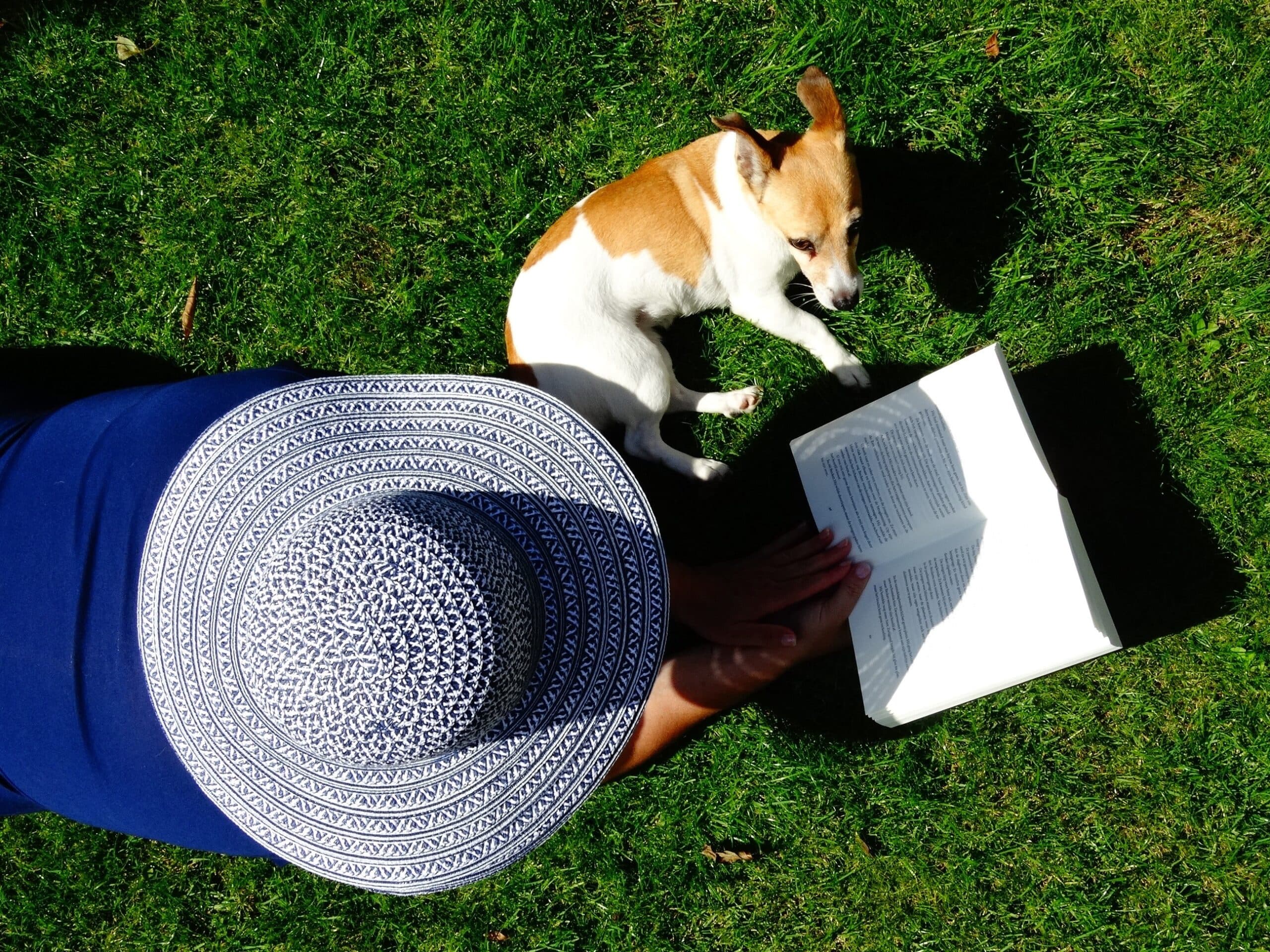 Dog Names Inspired By College Literature