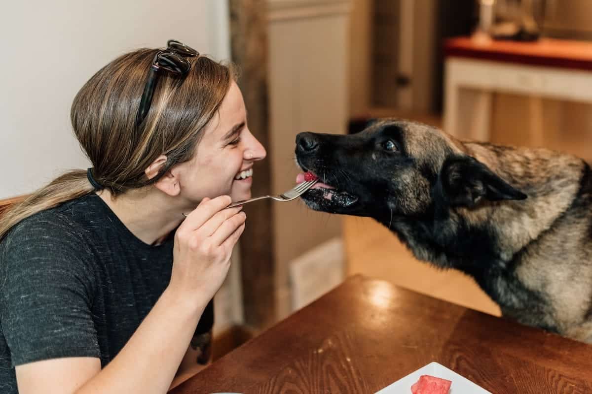 Can dogs eat grapes? Dog: Tiny Fruits Often Found–In Granola And Trail Mix Guide