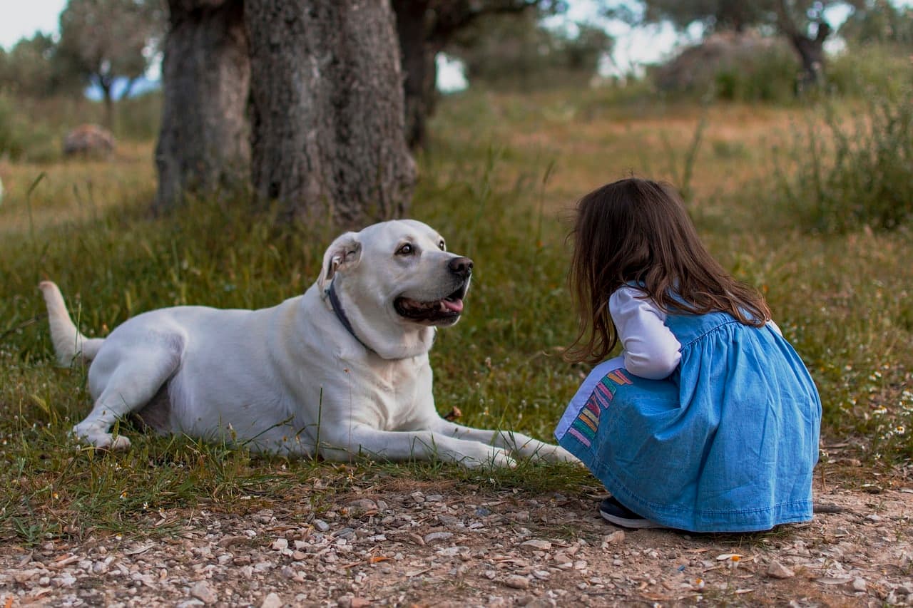 The Best Dogs For Families With Kids