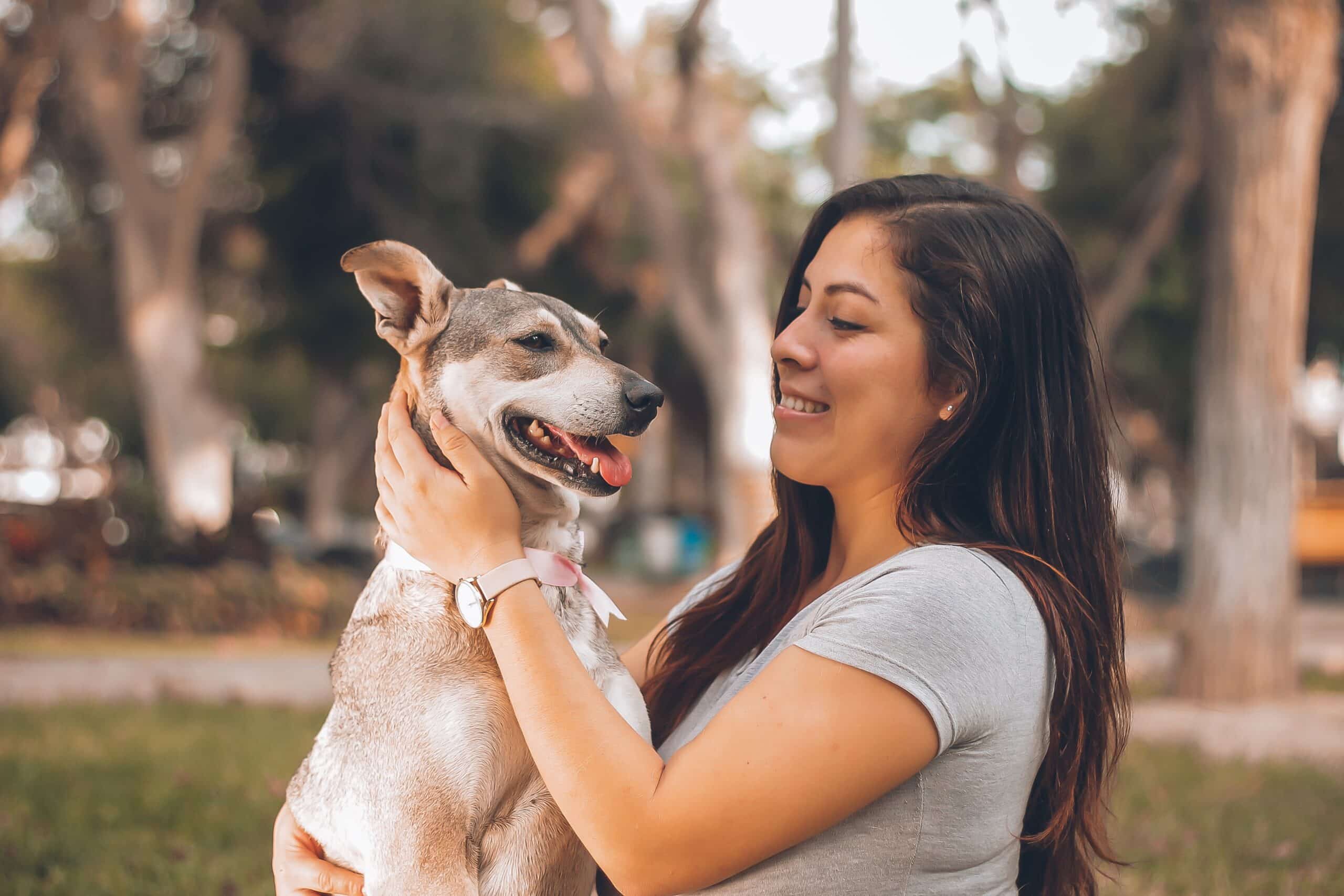 How Do You Know If Your Dog Loves You?
