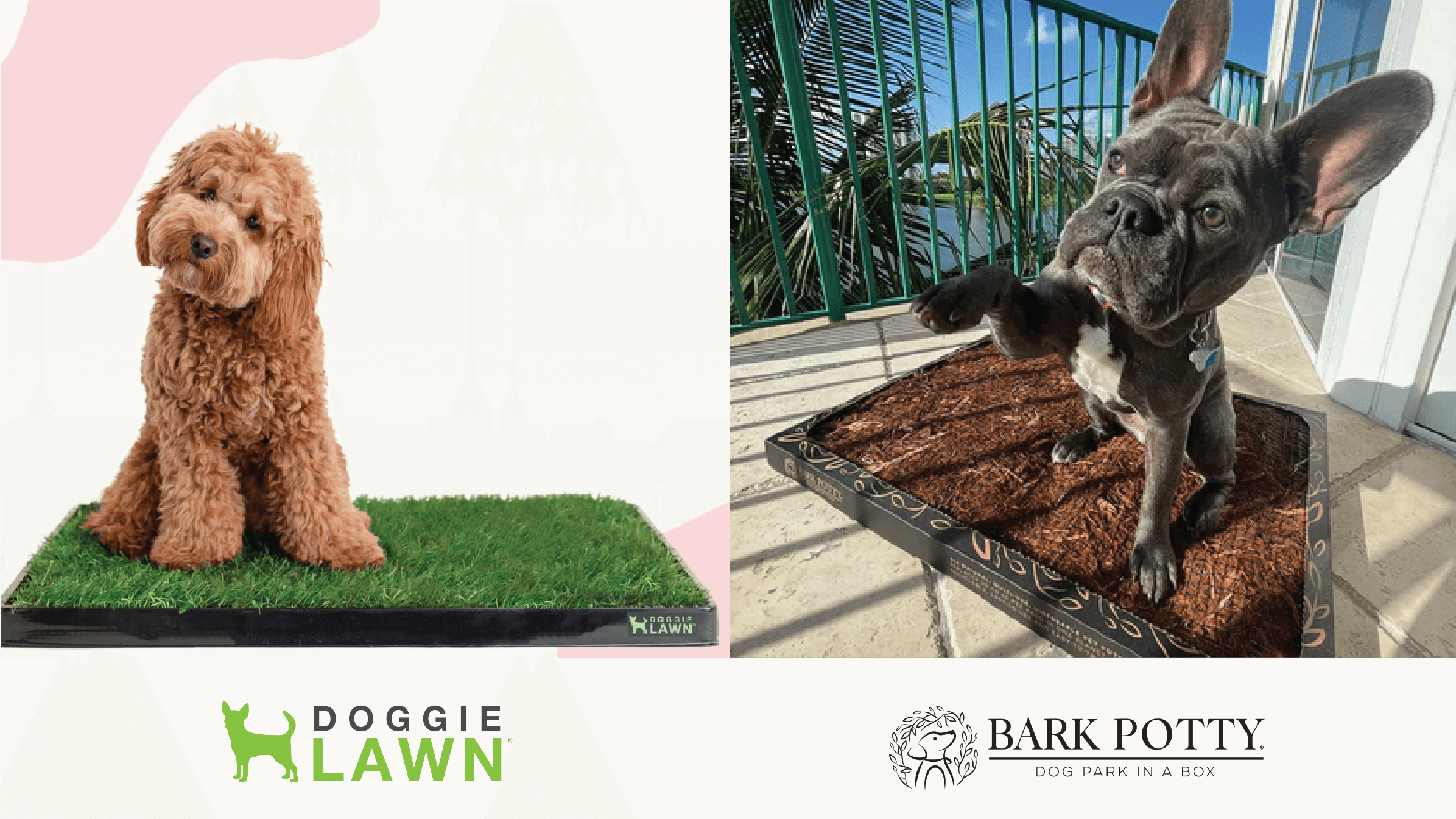 February Bark Potty/Doggie Lawn Giveaway
